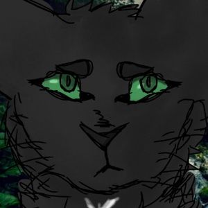 Meet your Posher, Hayden